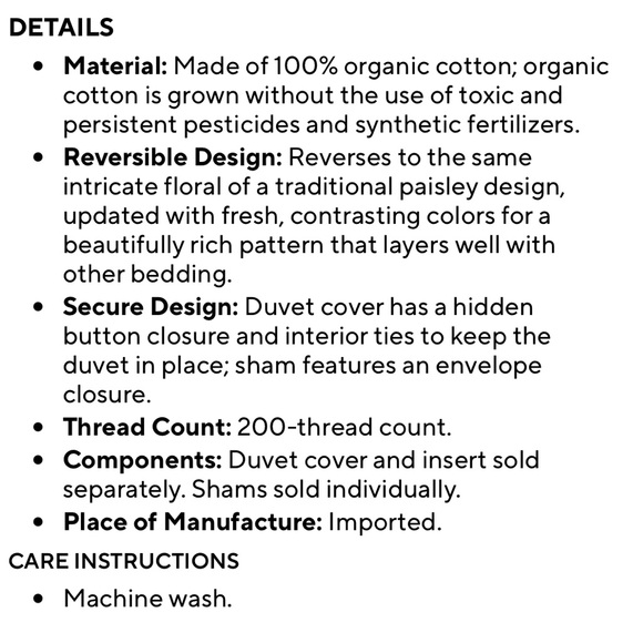 Pottery Barn Paloma Paisley Organic Percale Queen Duvet - Picture 3 of 8